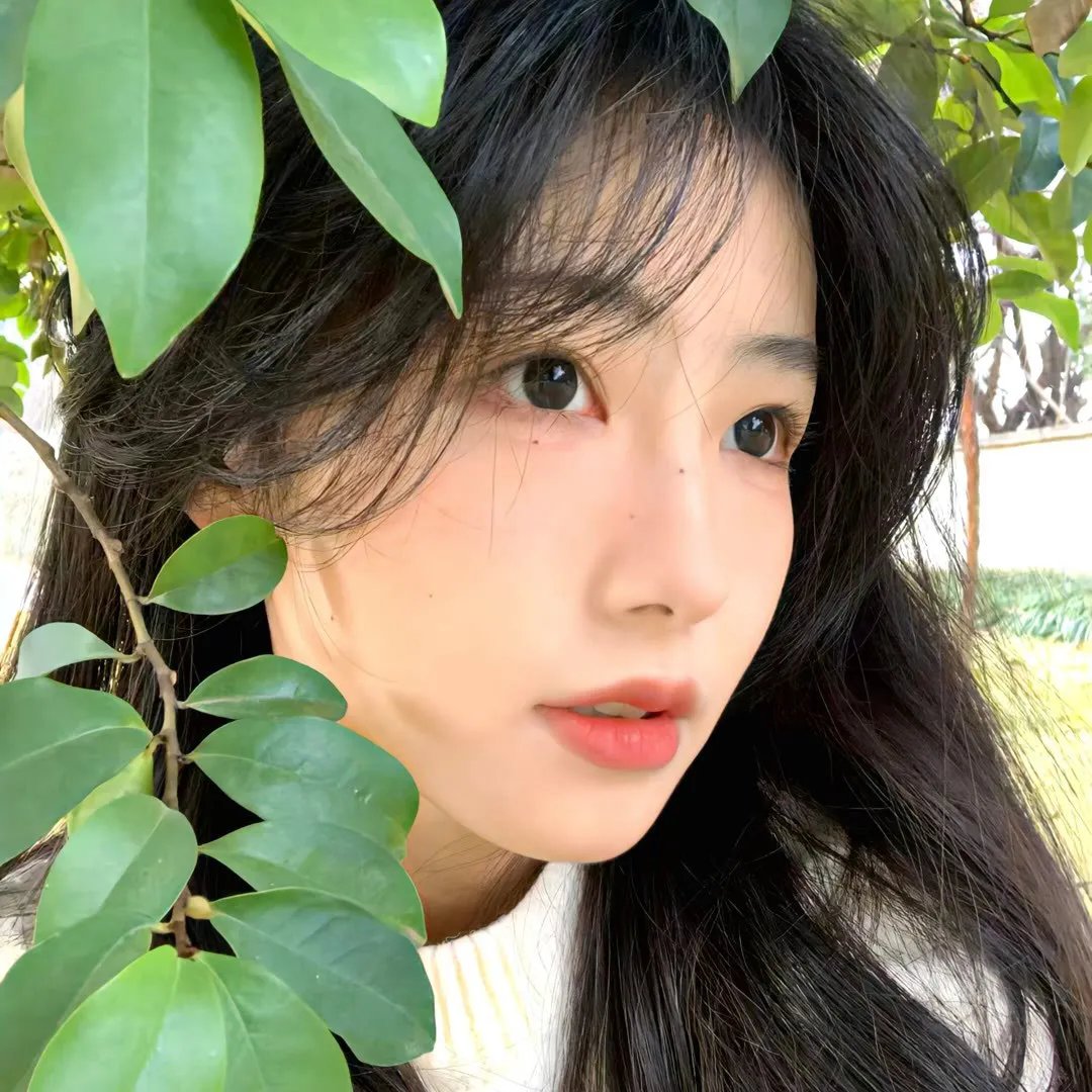 绵羊小铃
